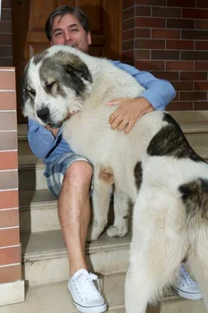 1070049 3182619101878 1420143328 n jpeg