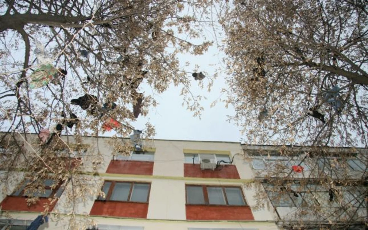 
    Hainele tinerei au rămas atârnate în copaci. (Foto: Laurenţiu Ionescu)  