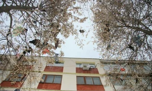 CLIIMA20140226 0091 1 jpeg