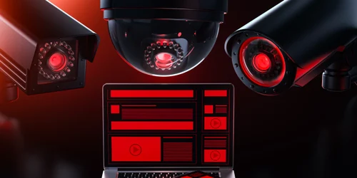 shutterstock 1338733736 jpg