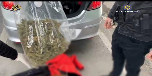 Traficanti de droguri prinsi la Ploeişti