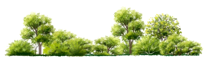 Pădurile, salvare pe viitor îndelungat. FOTO: Shutterstock