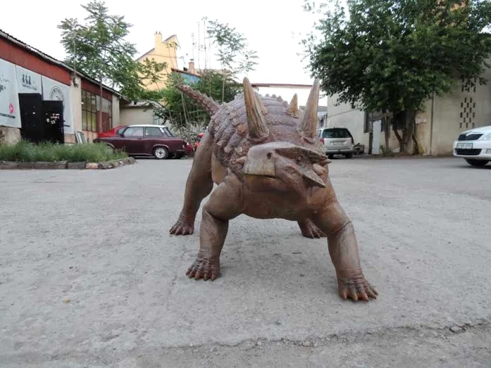 dinozauri bistrita  4