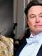 Elon Musk jpg