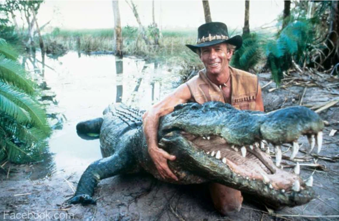 crocodil dundee jpg