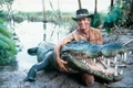 crocodil dundee jpg