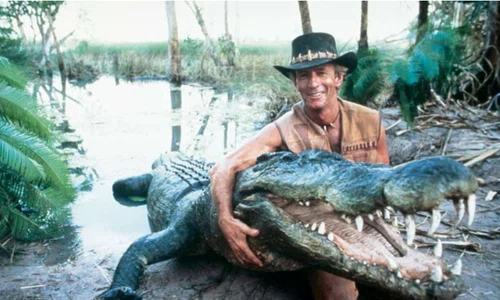 crocodil dundee jpg