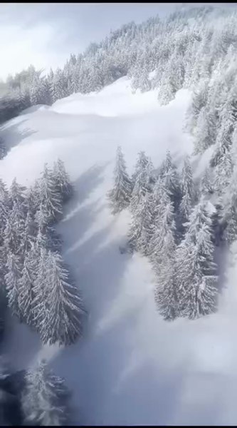 Ucraineni recuperați din Munții Maramureșului. Fugeau de război, dar au fost aproape de moarte în România