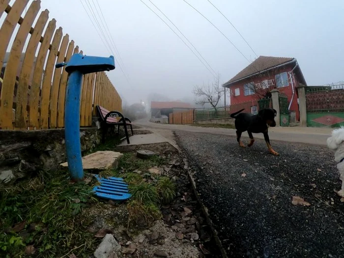 sohodol tinutul padurenilor foto adevarul