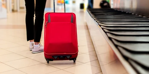 O femeie a vrut să își ia valiza de pe bandă, însă a simțit o înțepătură puternică : foto Shutterstock jpg