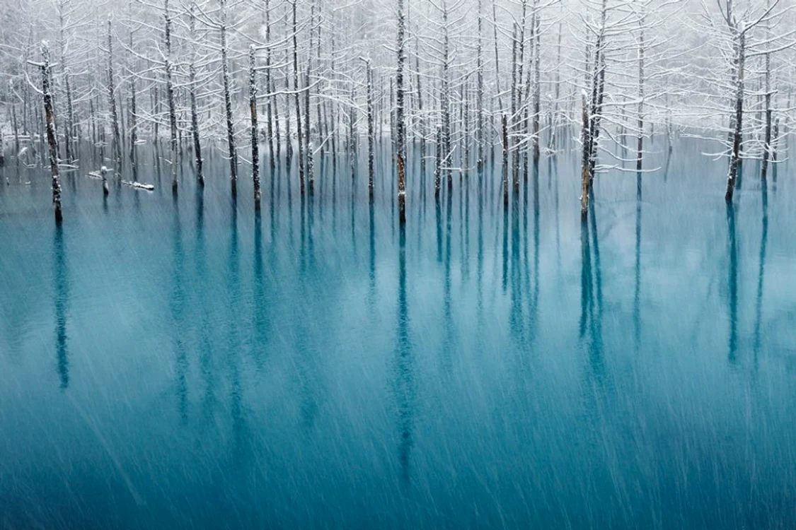 Prima zăpadă (Hokkaido, Japonia)