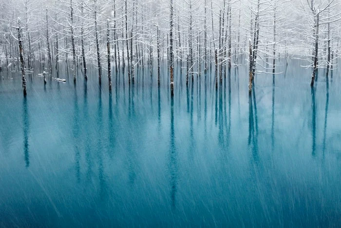Prima zăpadă (Hokkaido, Japonia)