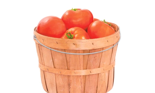 1 49861 original jpg jpeg