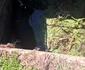 Imagini cu taurul salvat din bazinul cu apă din Creţeni - Vâlcea Foto ISU Vâlcea