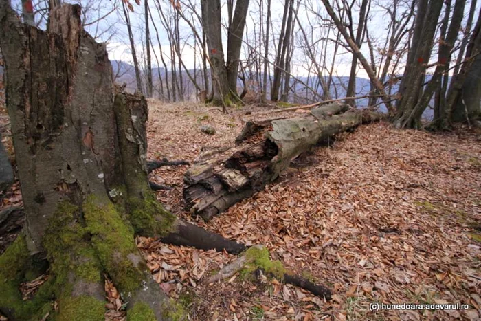 Cetatea piatra Rosie