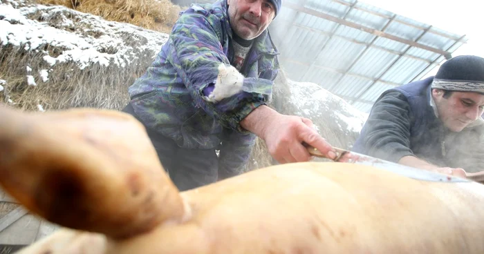 Sacrificare porc. FOTO Arhivă