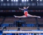 7 larisa iordache abandon olimpiada barna glezna 3 jpg jpeg