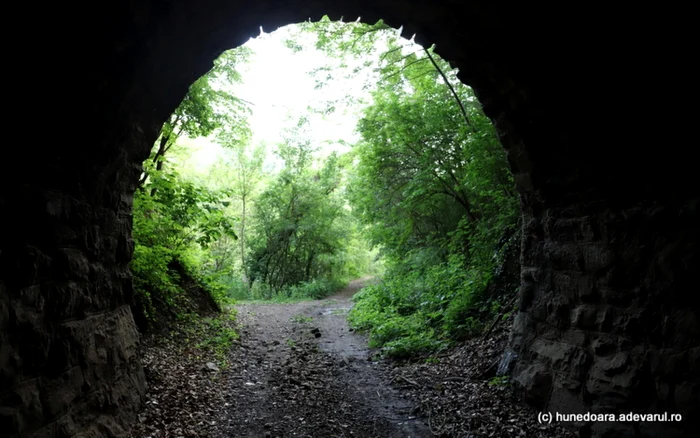 tunel mocanita foto daniel guta adevarul