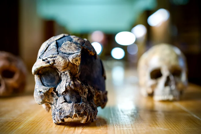 Dovezile tangibile ale existenței umane. FOTO: BBC