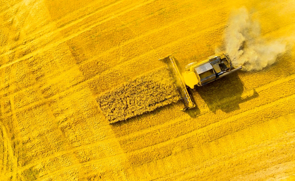 După câțiva ani mănoși, 2024 și 2025 secetoși îi duc la faliment pe fermieri FOTO: Shutterstock