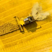 combina recoltat camp rapita foto shutterstock