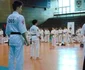 Mai mulţi sportivi de la Phoenix Bacău vor reprezenta România la o competiţie de karate din Danemarca