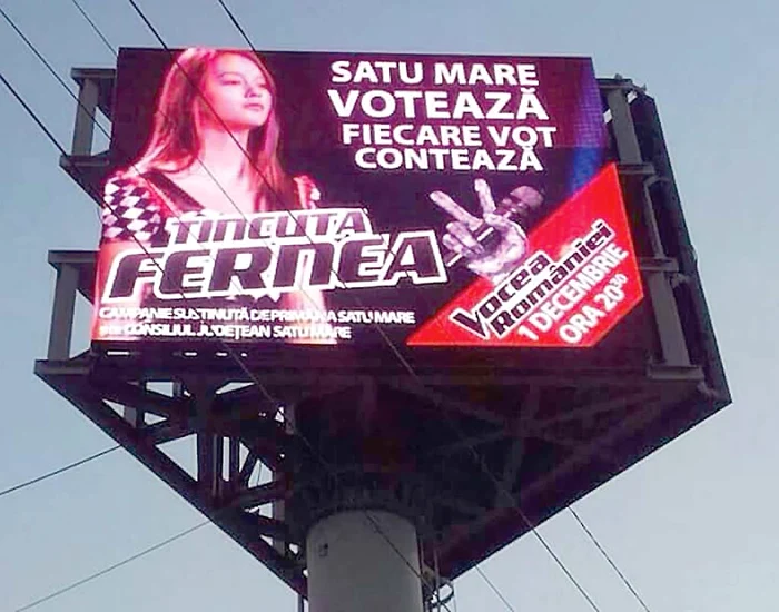 Așa arată panourile din Satu Mare, cu mesaje de susținere pentru Tincuța