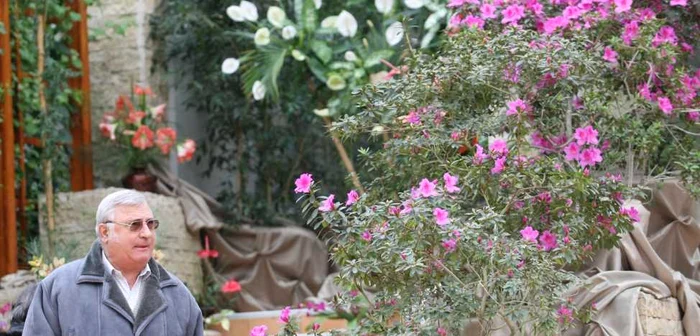 Plantele viu colorate îţi fură privirea