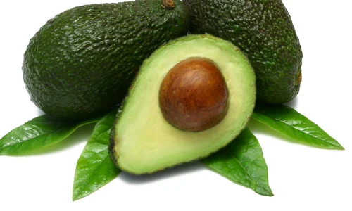 avocado jpeg