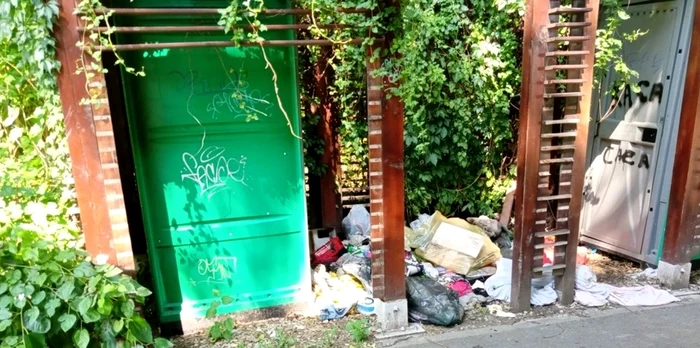 
    Mizerie la toaletele publice din TimișoaraFoto: Facebook Garda de Mediu Timiș  