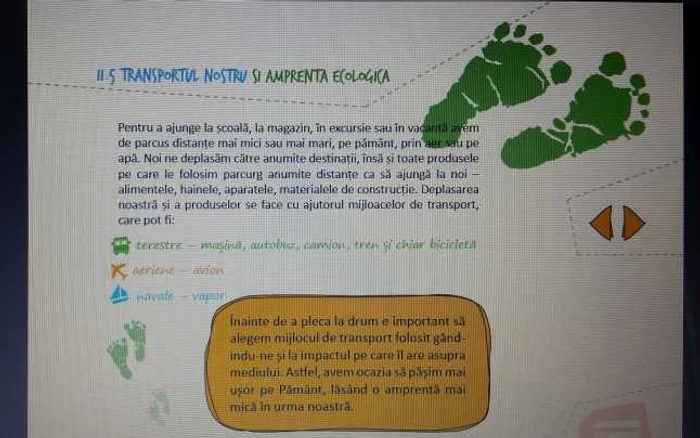 manual ecologie greeninitiative