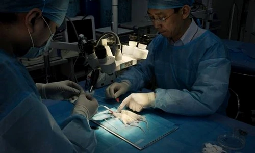 1 63143 original jpg jpeg