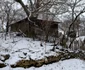 bunila tinutul padurenilor iarna foto daniel guta adevarul