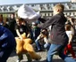 International Pillow Fight Bucharest - Bataie cu perne foto david muntean
