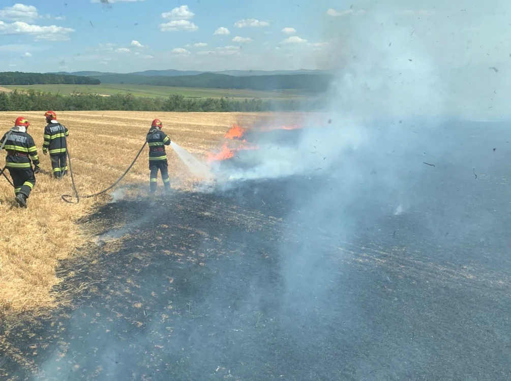 Flăcările au distrus o suprafaţă de 15 hectare cultivată cu grâu FOTO ISU Bacău