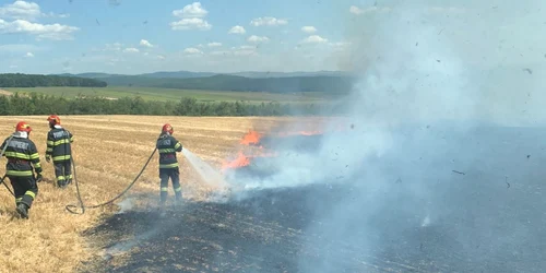 cultura de grau incendiu FOTO ISU Bacau 1