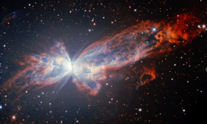 AP25330646761752 scaled jpg