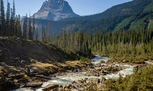 river 5662293 1280 jpg