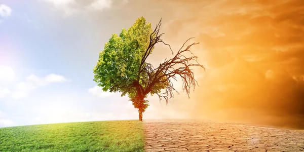 Incalzire globala FOTO Shutterstock