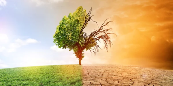 Incalzire globala FOTO Shutterstock