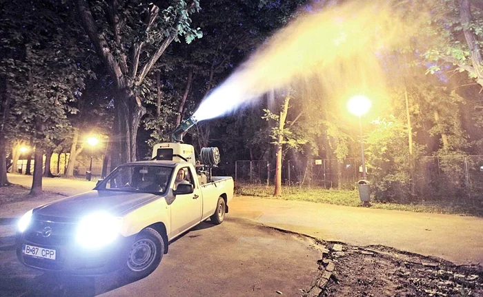 Biologul Constantin Răduţu acuză Primăria că actuala dezinsecţie e făcută doar pentru imagine