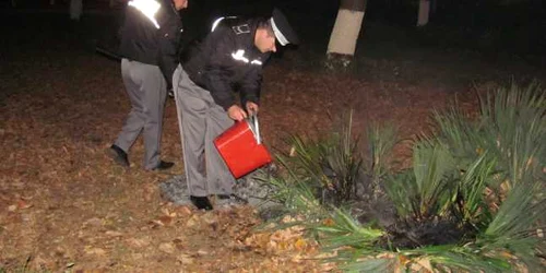 Poliţiştii locali au stins focul fără probleme