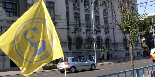 Steagul Federaţiei Sindicatelor din Învăţământ „Spiru Haret“