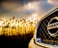 Nissan Pathfinder 10