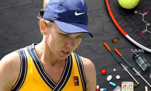 cub simona halep png