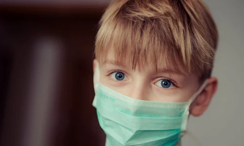 1 pexels photo 695954 jpg jpeg