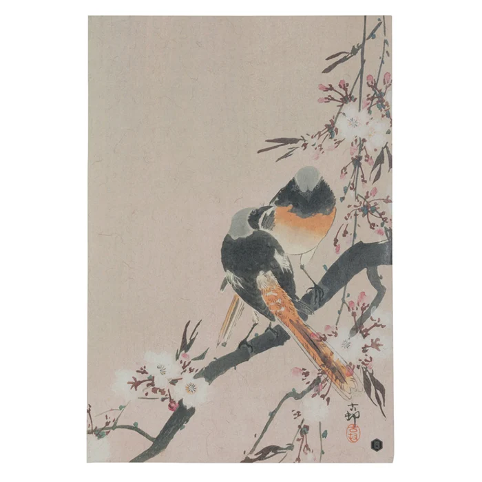11 poster multicolor din hartie 32x47 cm pinktails be pure home 214829 jpg jpeg