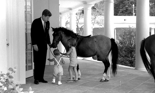 Animale de companie prezidenţiale jpeg