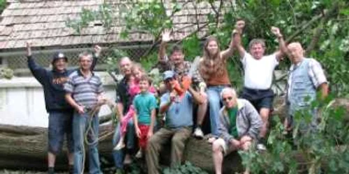 Satu Mare: Lucrările artiştilor plastici vor fi expuse în holul Primăriei