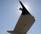 tarom foto lucian muntean 19 JPG